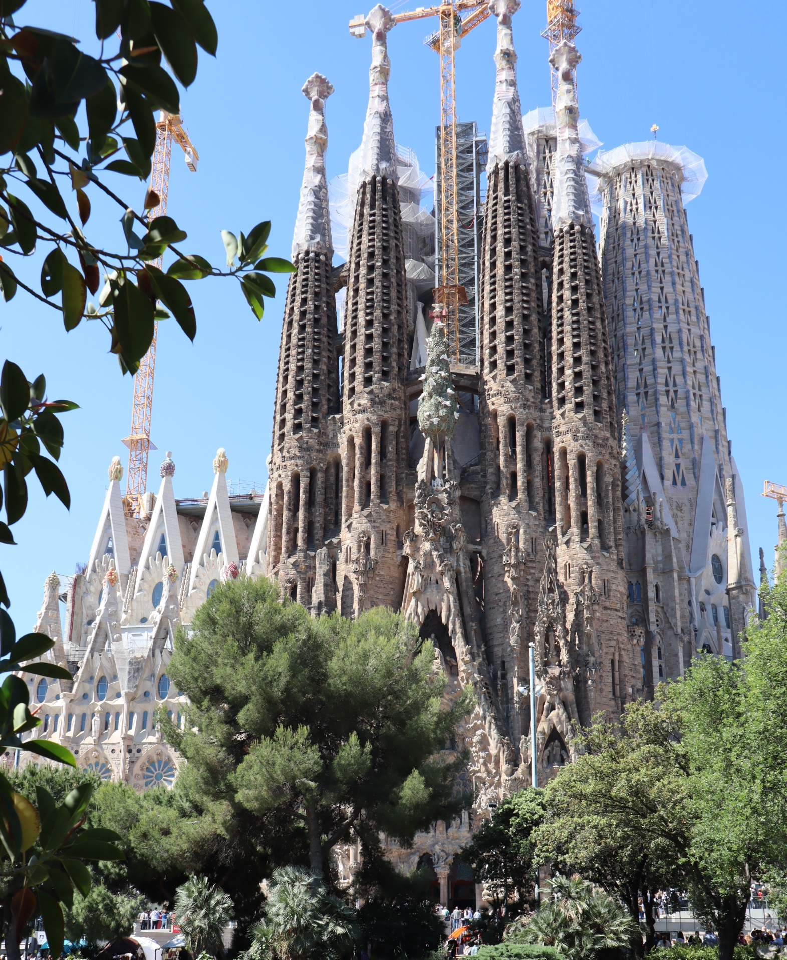 バルセロナで必見サグラダファミリアの魅力 パリとスペインの旅19 Kochan Blog 生涯挑戦