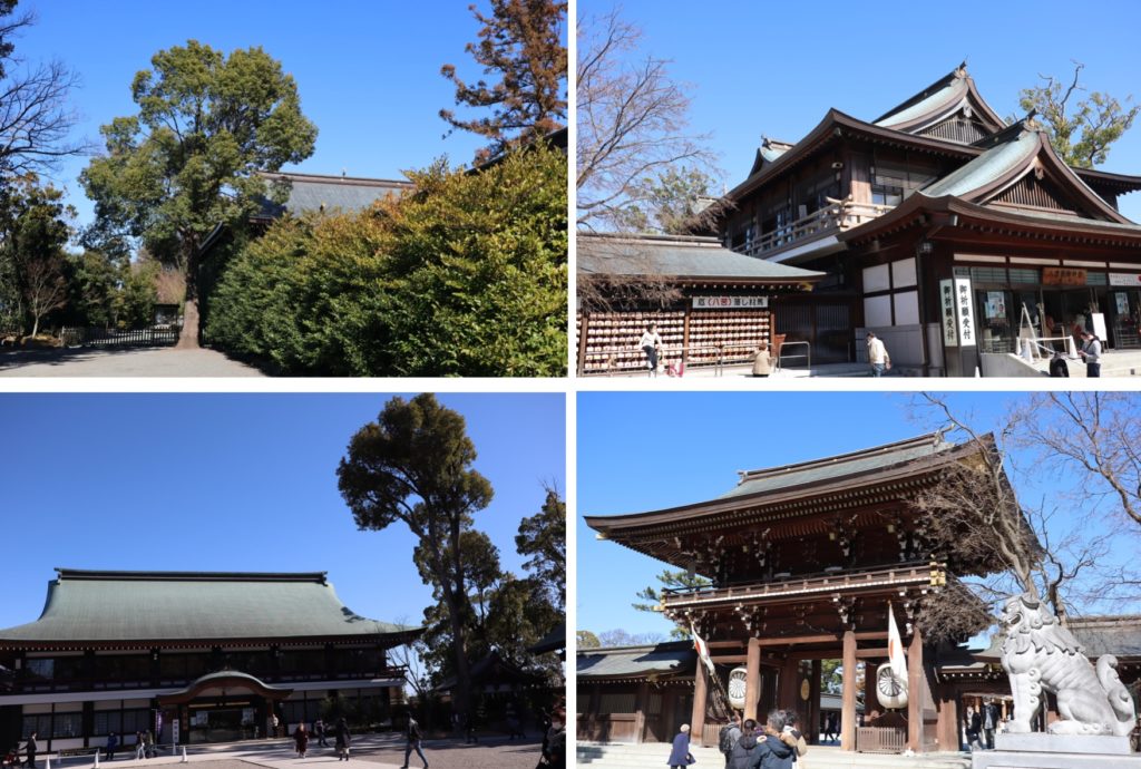 厄除としてご利益のある寒川神社とランチにオススメの 小食堂みずき一丁目 Kochan Blog 生涯挑戦