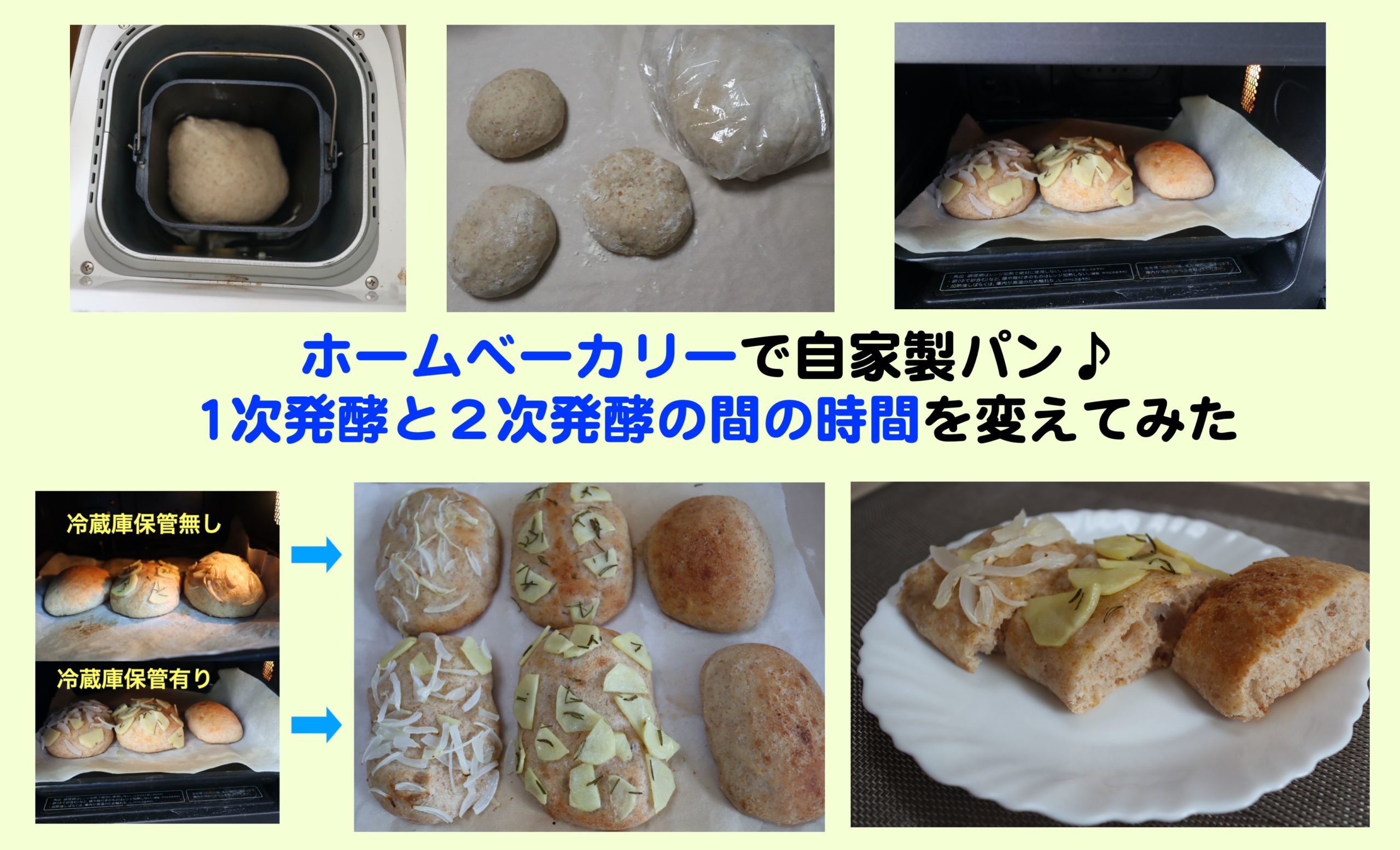 天然酵母を使った自家製パンで 1次発酵と２次発酵の間の時間を変えたらどうなるのか Kochan Blog 生涯挑戦