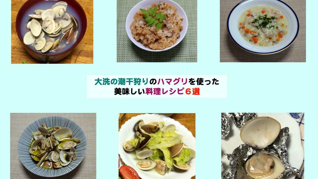 大洗潮干狩りでとれたハマグリを使った美味しい料理レシピ６選 Kochan Blog 生涯挑戦