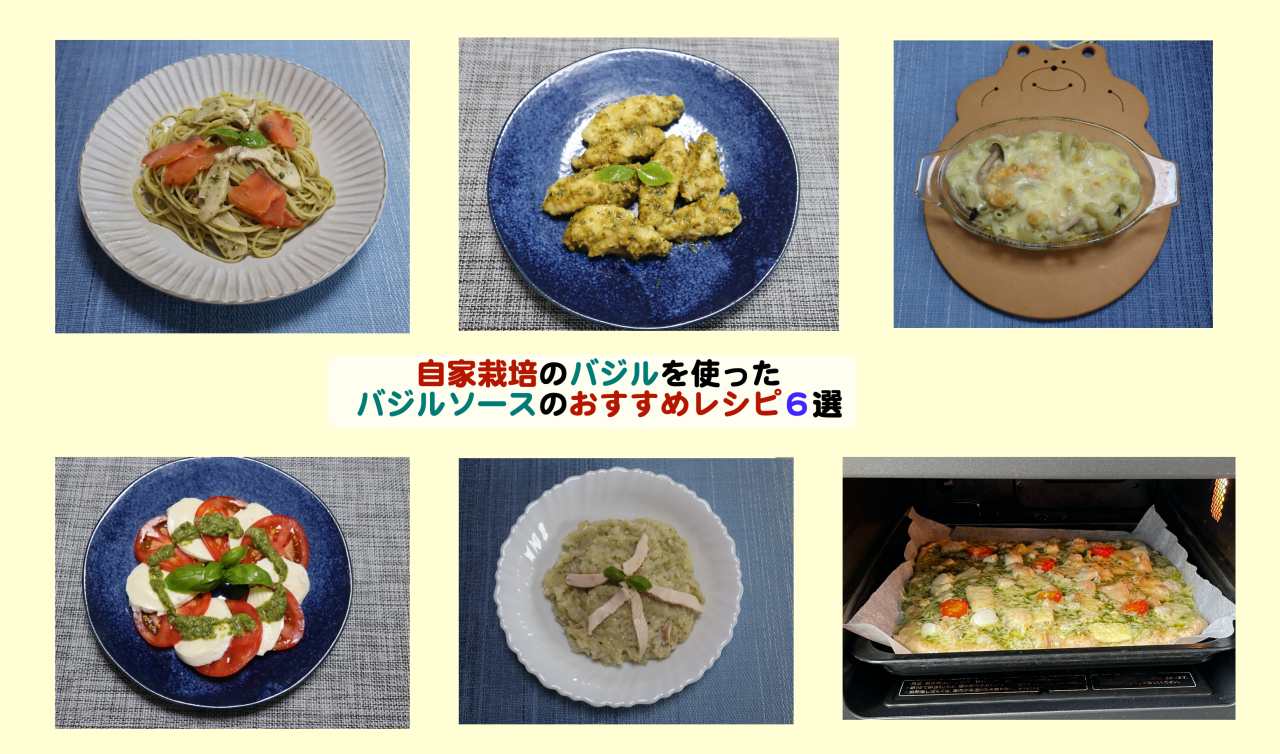 自家栽培のバジルを使ったバジルソース ジェノベーゼソース のおすすめレシピ6選 Kochan Blog 生涯挑戦