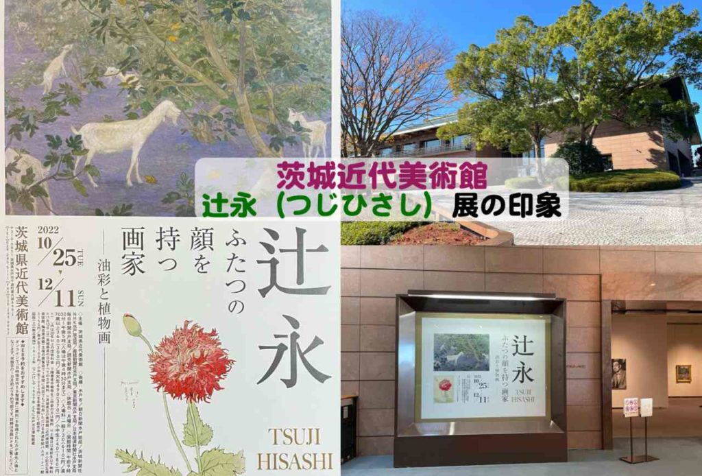 辻あい　母ちゃんが書いたお前たちに遺す私の歴史 母ちゃんが書いた―お前たちに遺す私の歴史 (1980年) (ほるぷ自伝