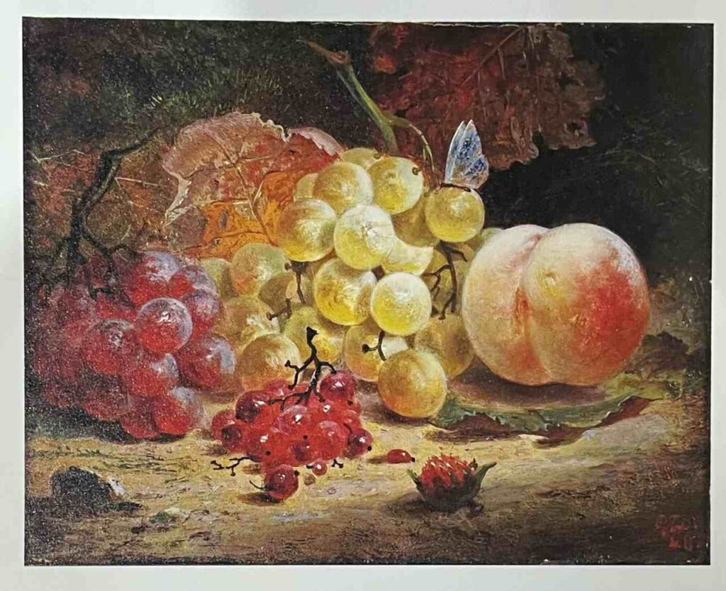 「英国キュー王立植物園　おいしいボタニカル・アート」の内容と印象