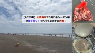 大洗2025年潮干狩りまさかの大漁アイキャッチ